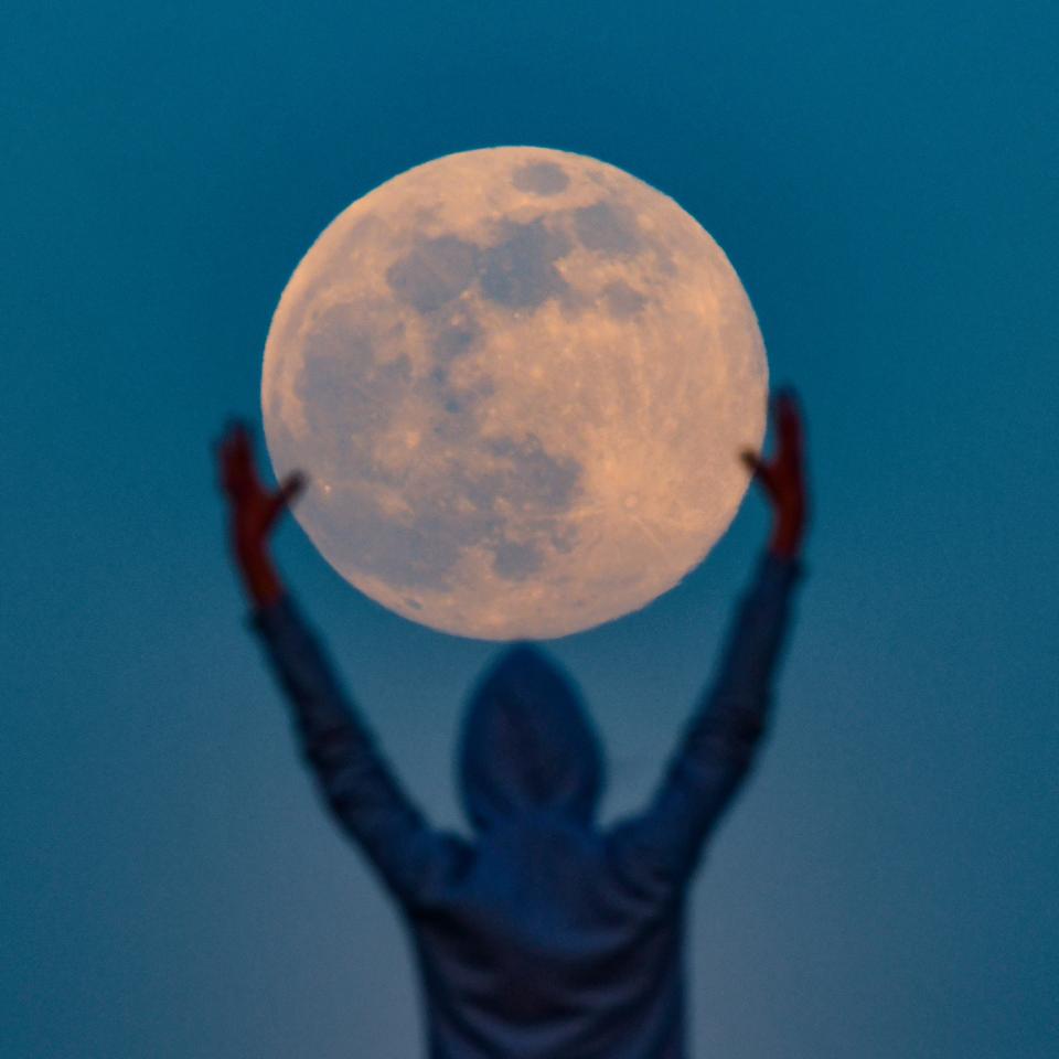 Diese Woche taucht ein