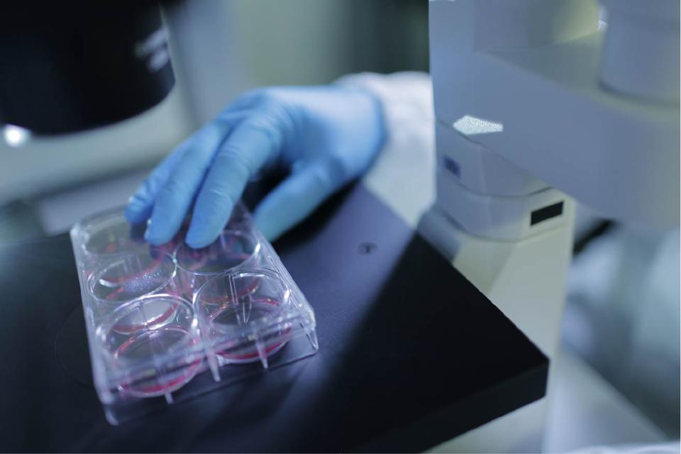 Can The U S Learn From Italy Where Antibody Test Makers Are Fighting For A New Market