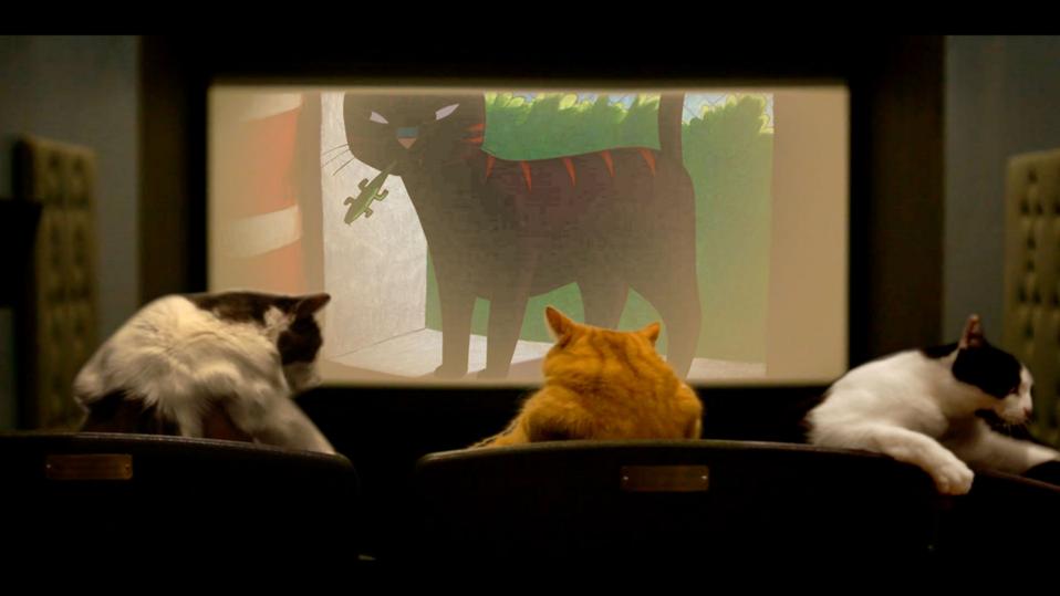 quarantine cat film festival to help