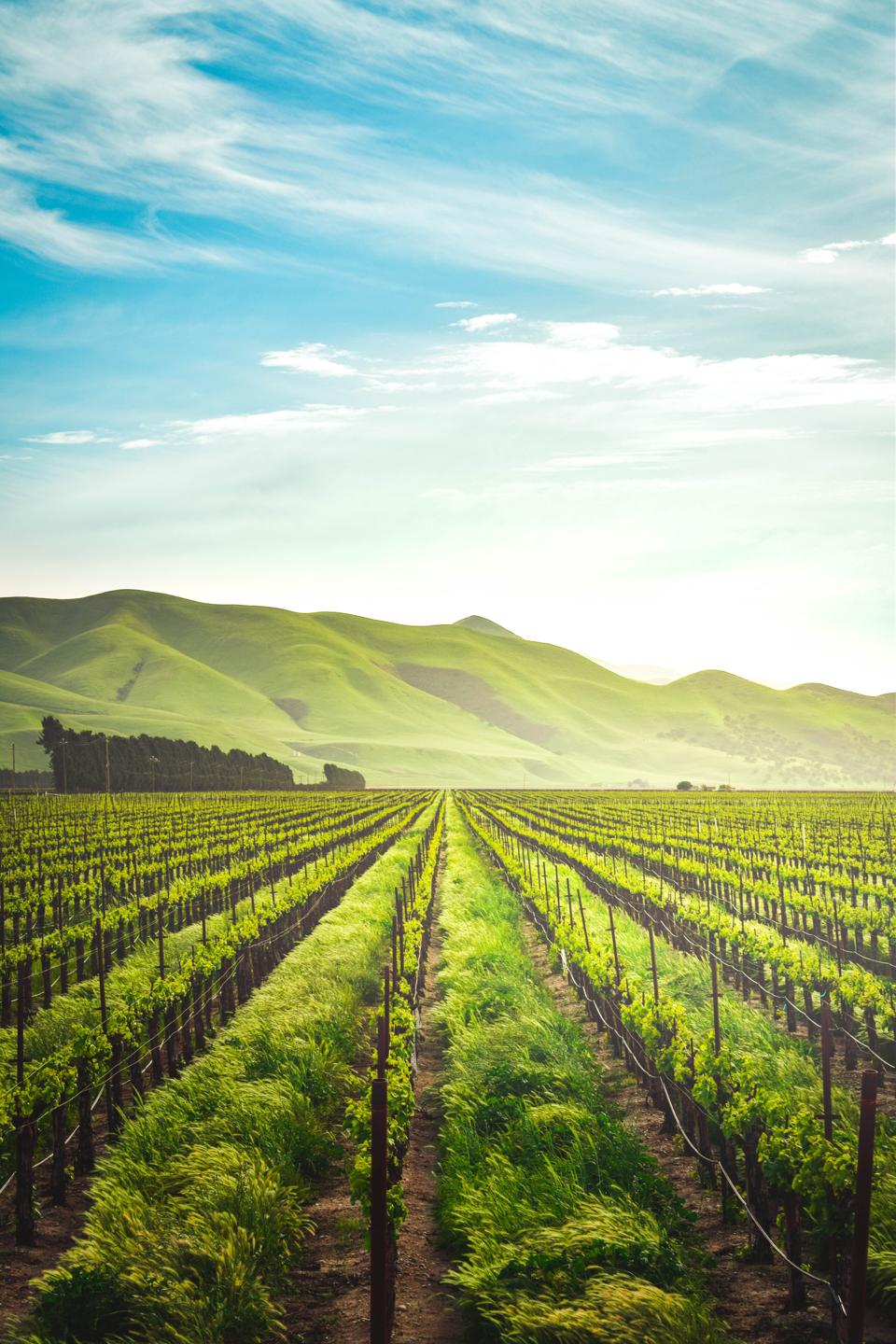 Ag biosecurity is worth protecting.