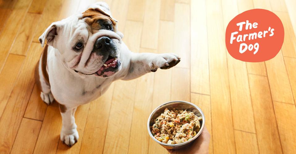 These 8 Dog Food Delivery Services Are Recommended By Vets These 8 Dog Food Delivery Services Are Recommended By Vets