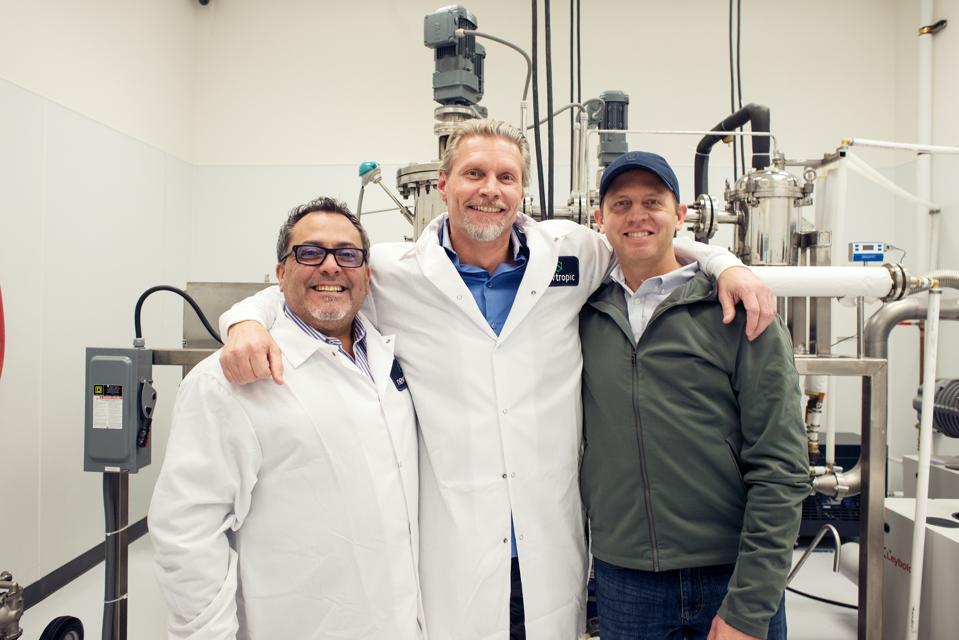 Alex and co-workers