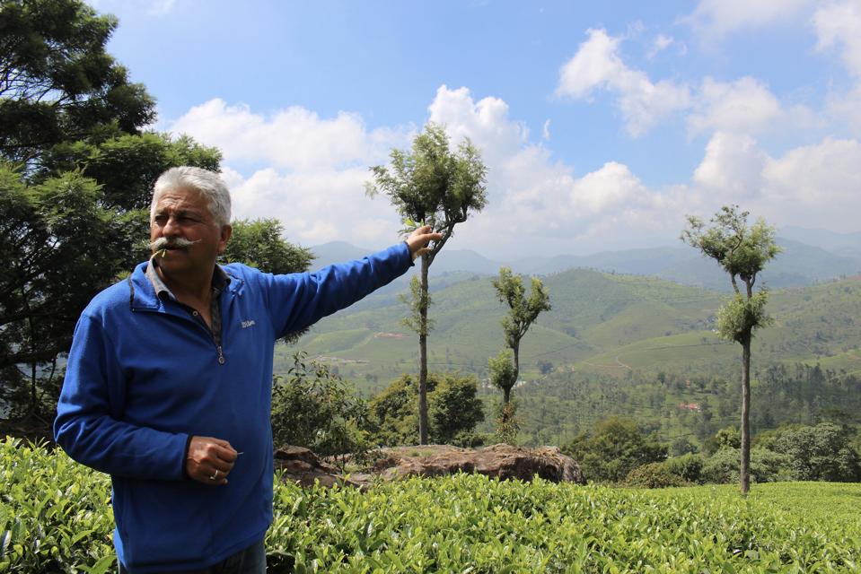 Indi Khanna touring the tea fields in India.