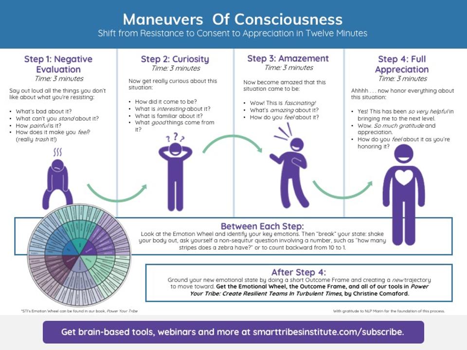 STI-Maneuvers-of-Consciousness-Rev