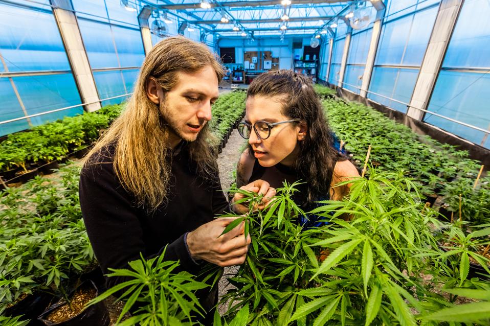 Emma and Matt with plants 