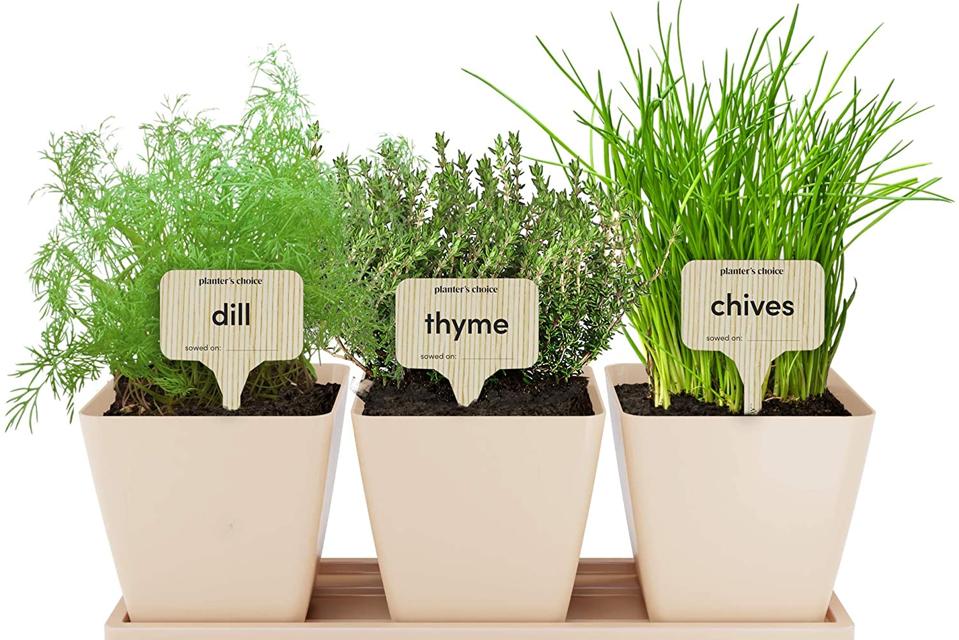 14 Easy Indoor Herb Garden Kits Plus Expert Tips For Growing Success 14 Easy Indoor Herb Garden Kits Plus, 9 Herb Window Garden Indoor Organic Growing Kit