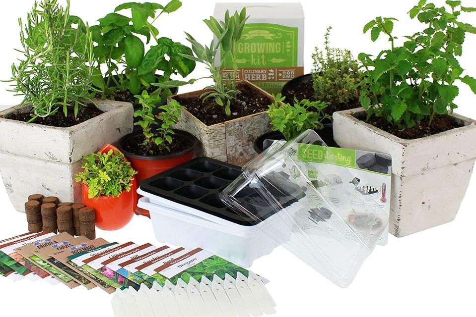 14 Easy Indoor Herb Garden Kits Plus Expert Tips For Growing Success 14 Easy Indoor Herb Garden Kits Plus, Indoor Herb Garden Kit With Light Australia