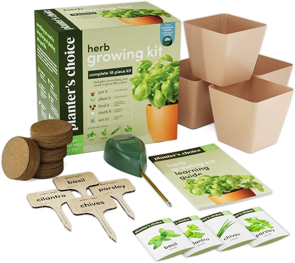 14 Easy Indoor Herb Garden Kits, Plus Expert Tips For Growing Success