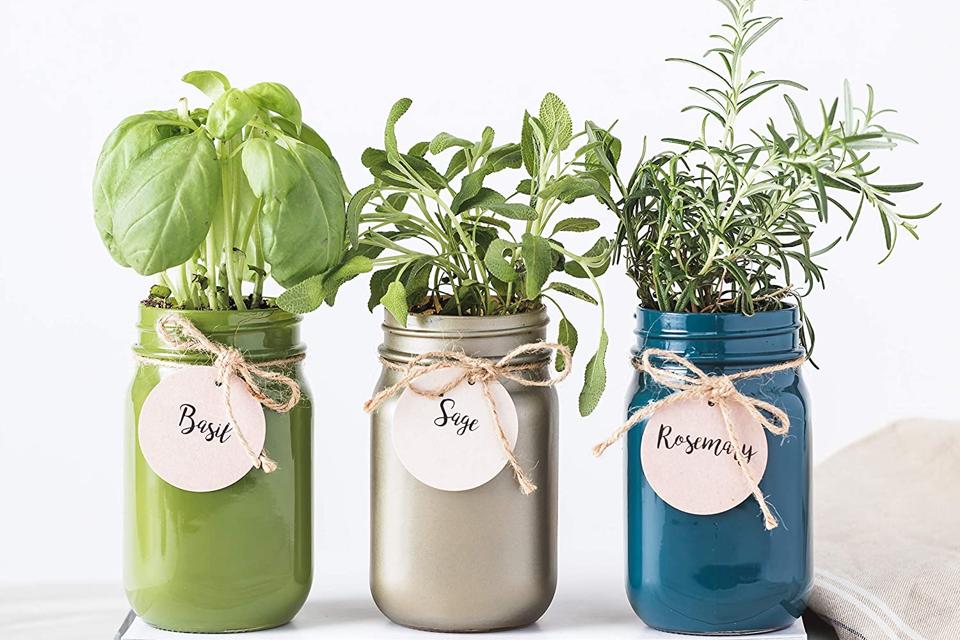 14 Easy Indoor Herb Garden Kits Plus Expert Tips For Growing Success 14 Easy Indoor Herb Garden Kits Plus, Modern Sprout Indoor Herb Garden Kit