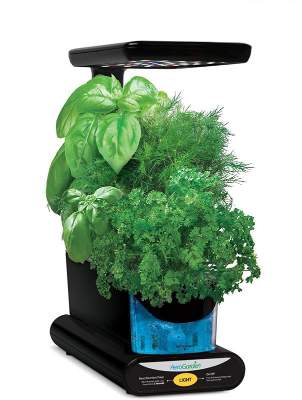 Indoor Herb Garden Kit Lowe S Garden Design Ideas