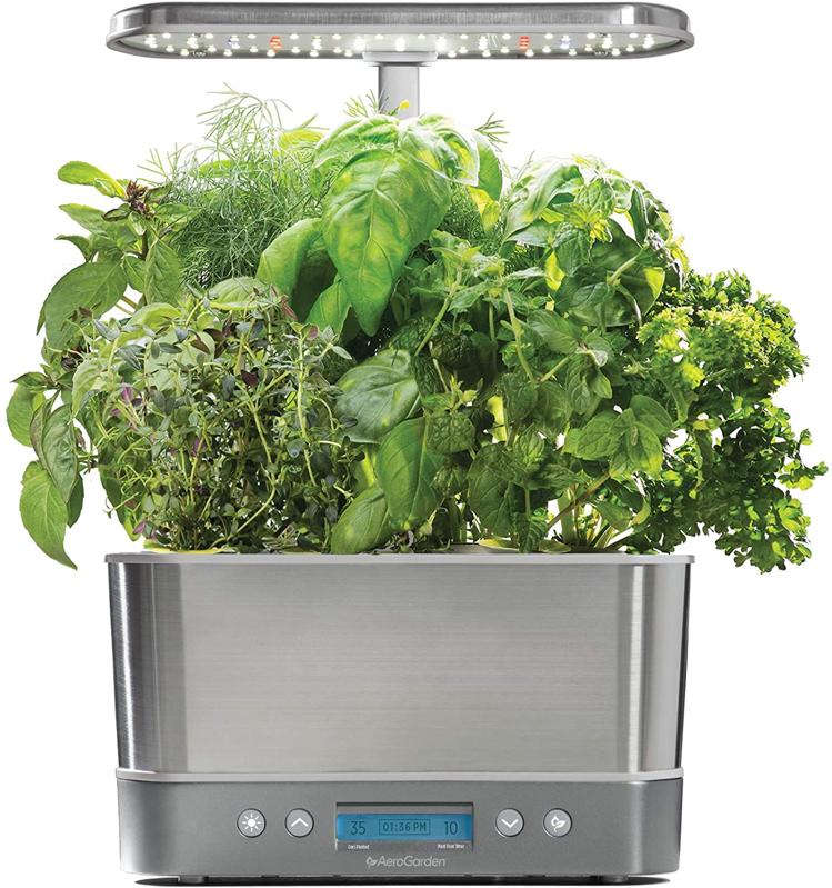 14 Easy Indoor Herb Garden Kits Plus Expert Tips For Growing Success - Best Indoor Herb Garden For Beginners 14 Easy Indoor Herb Garden Kits Plus Expert Tips For Growing Success - Best Indoor Herb Garden For Beginners