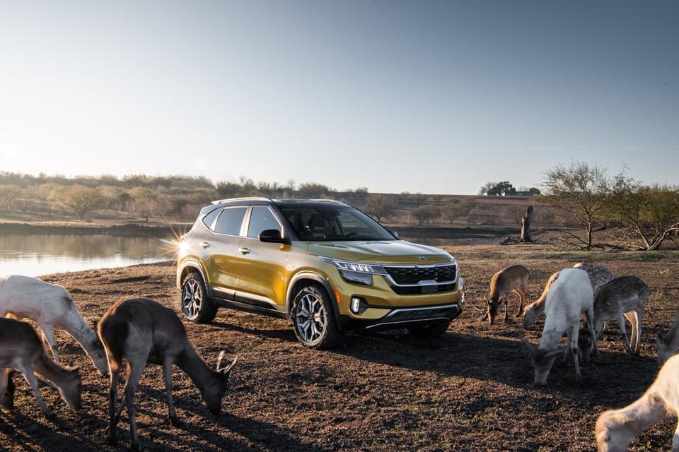 2021 Kia Seltos Sx Turbo Awd Test Drive And Review Just Right