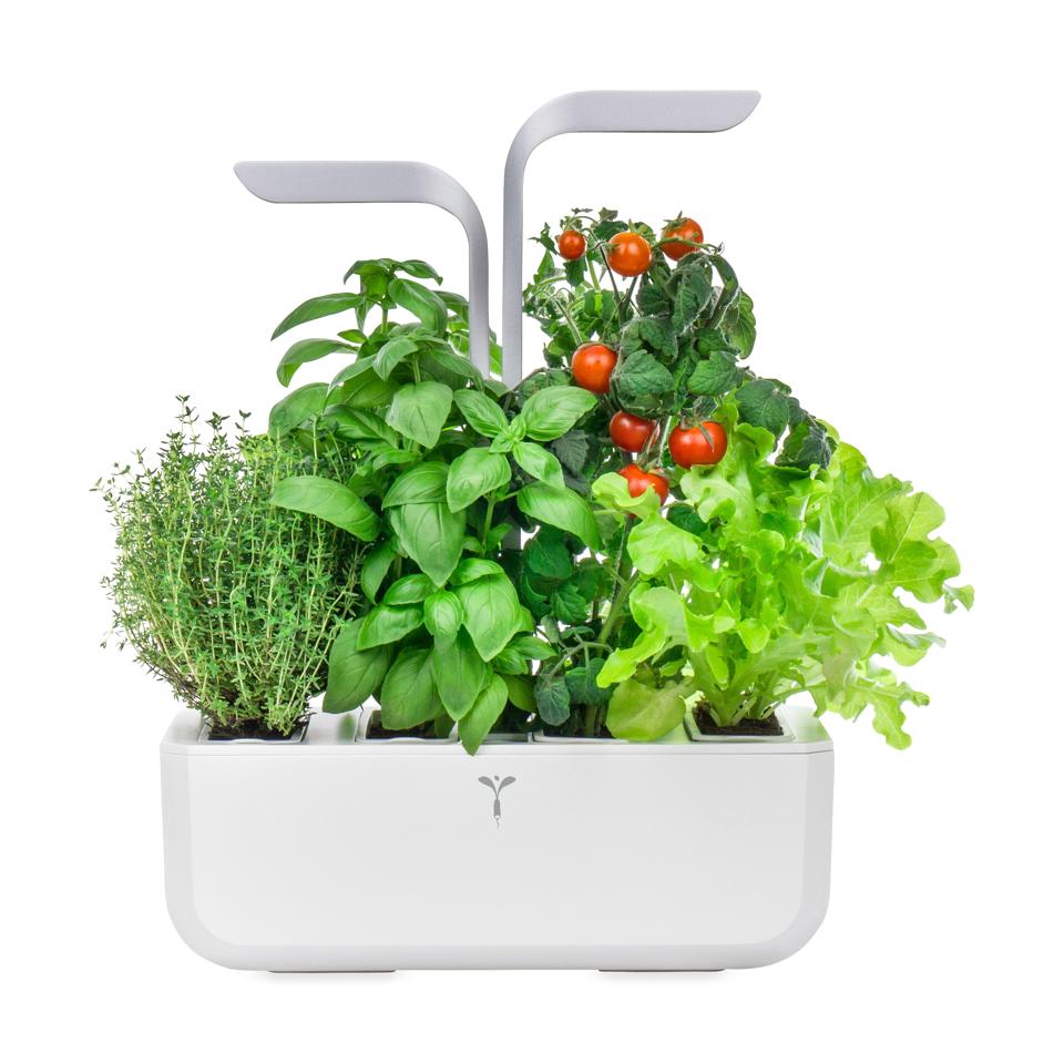 The Best Garden Kits for Father's Day: Veritable Smart Indoor Garden