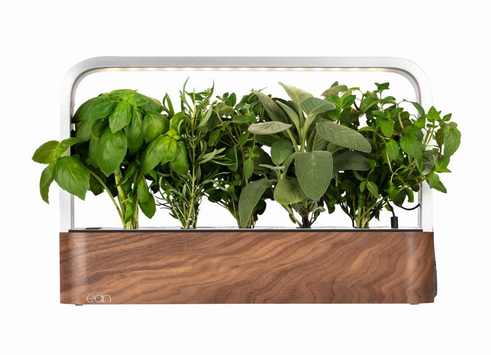 Best gardening kits for Father's Day: ēdn SmallGarden