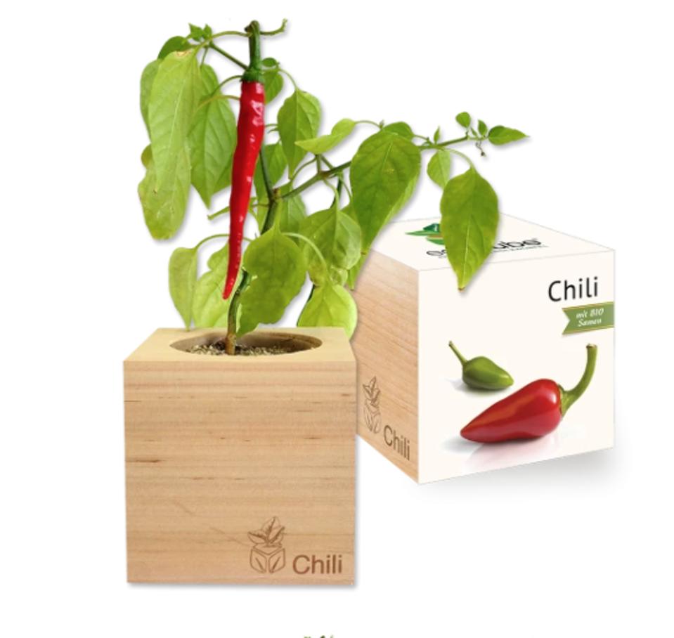 Best gardening kits for Father's Day: SprigBox EcoCube Chili
