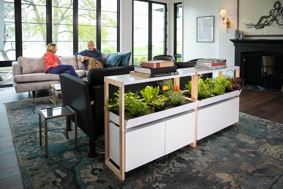 The best garden kits for Father's Day: Rise Gardens Indoor Garden