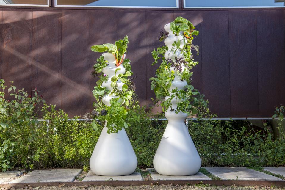 Best Gardening Kits for Father's Day: Lettuce Grow Farmstand