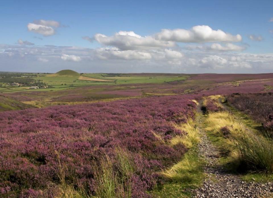 North_York_Moors