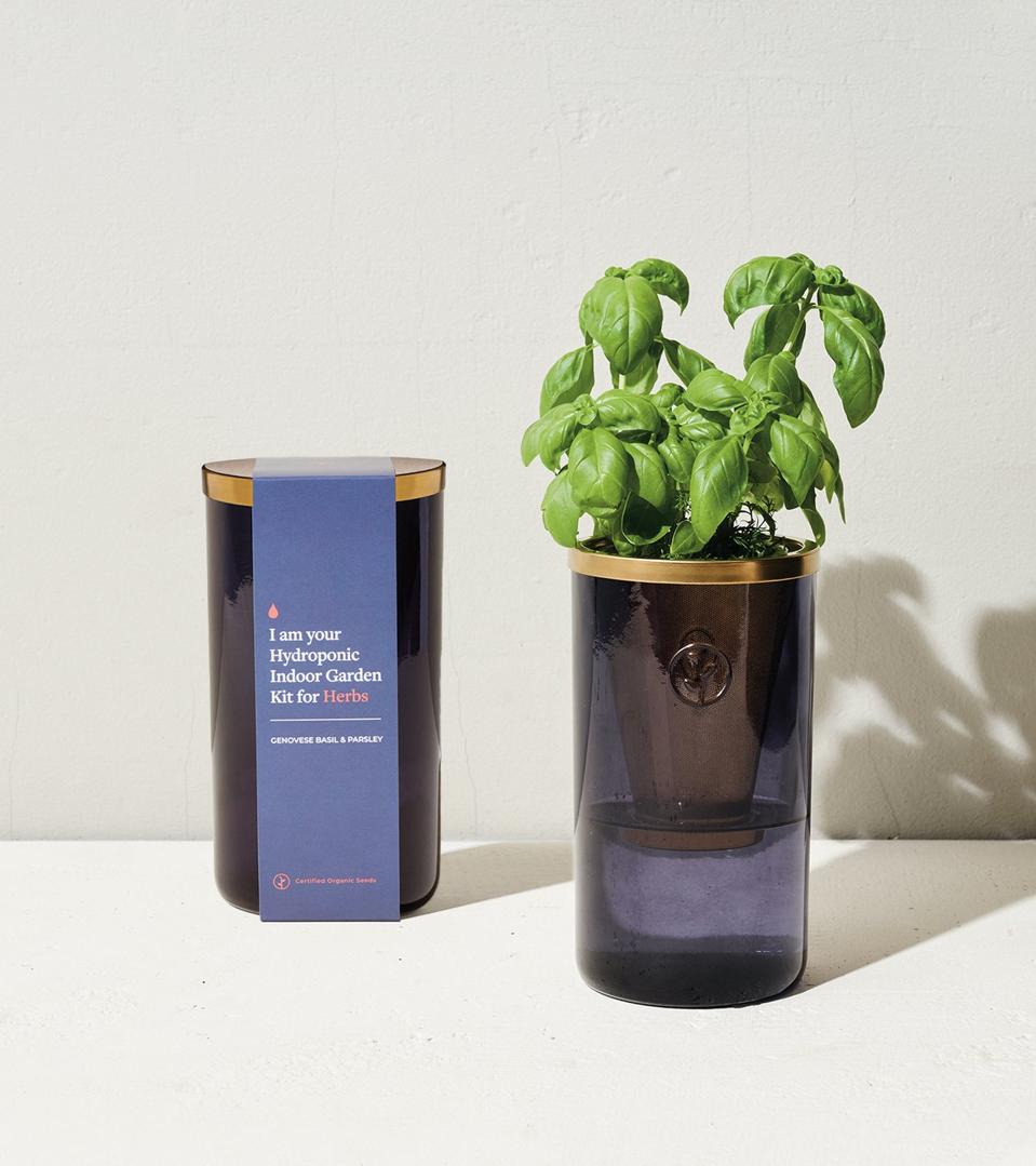 14 Easy Indoor Herb Garden Kits Plus Expert Tips For Growing Success