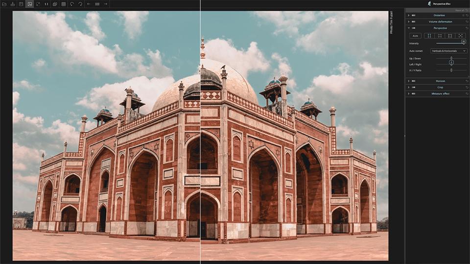 Collection Collection