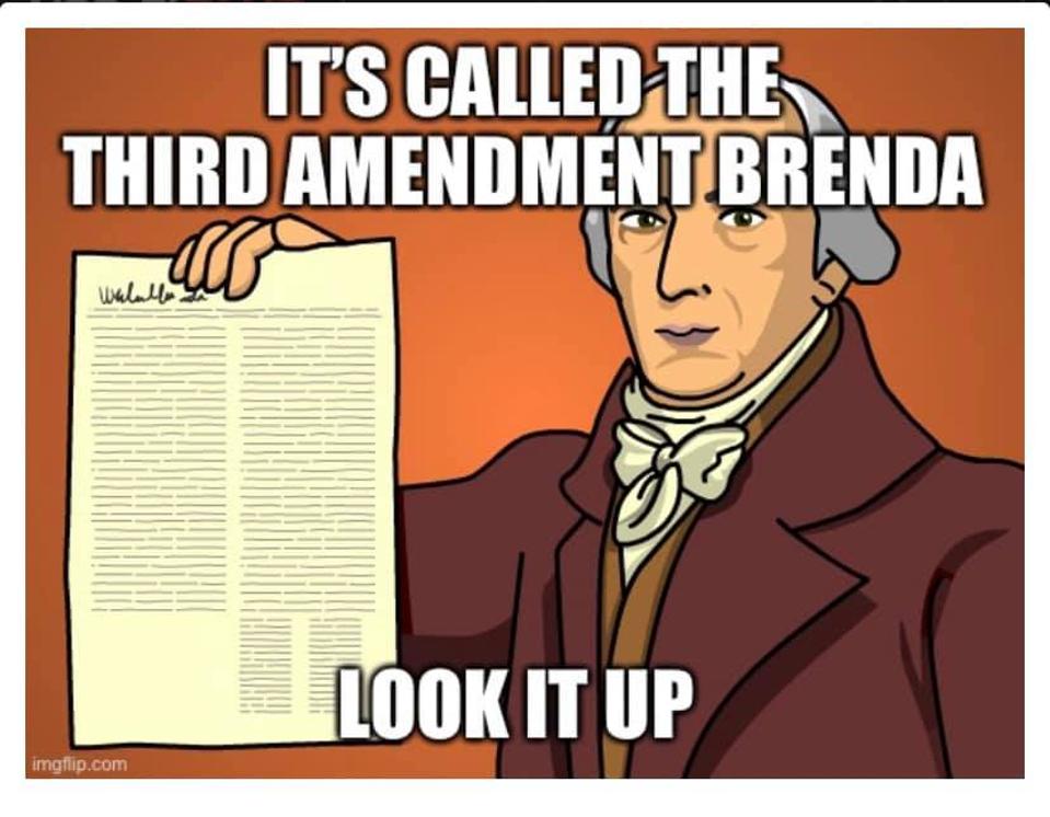 Amendment 3 Characters Third Amendment Memes And The Cultural Relevance Of Rarely Used Rights