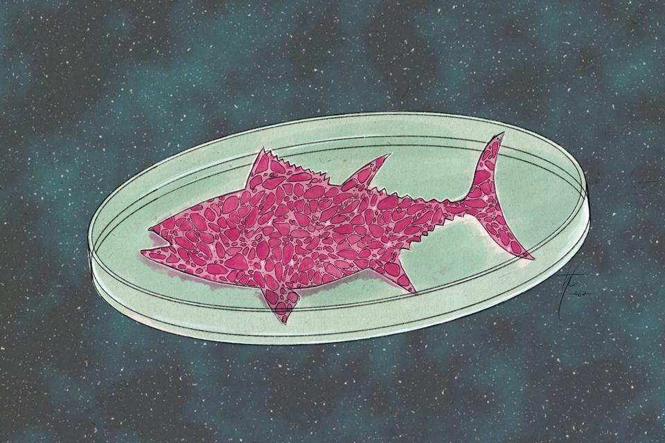 Artist Hugo Teixeira's rendition of meat cells grown in a Petri dish, surrounded by a field of stars.