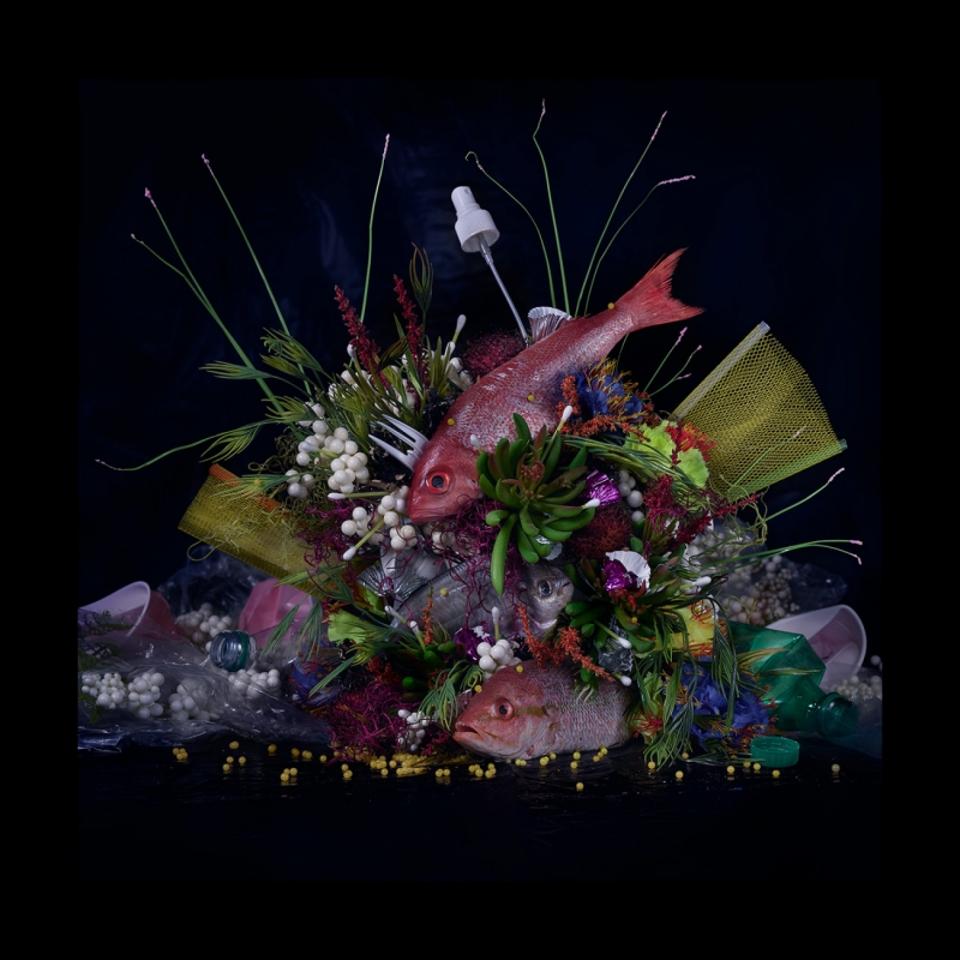 Ảnh tĩnh của biển tổng hợp