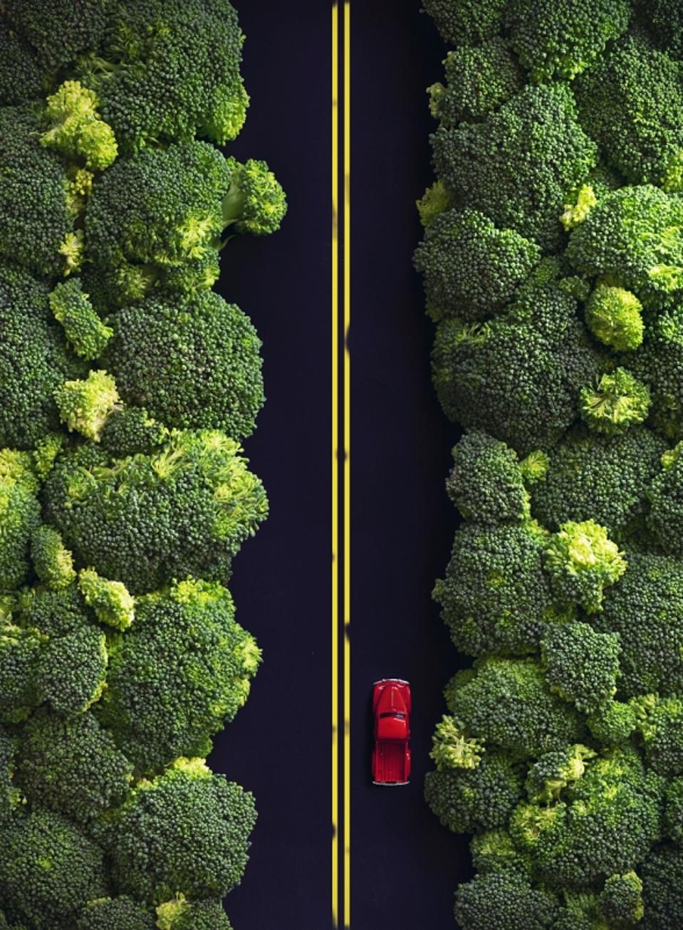 Một khu rừng làm từ bông cải xanh