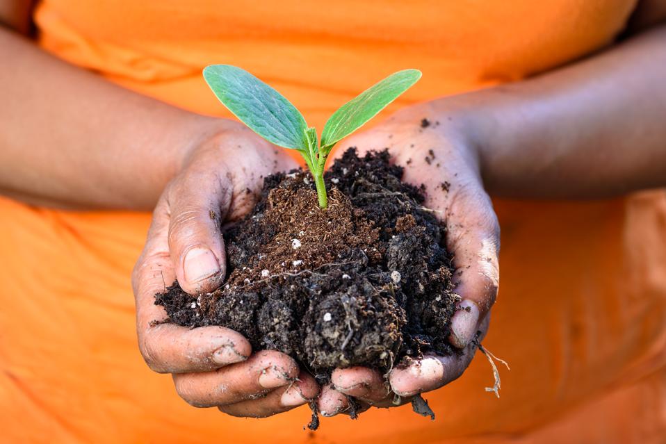 Healthy soil is vital to human health.