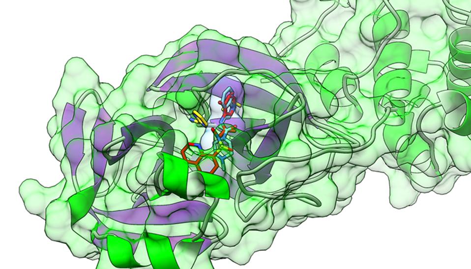 Oracle Brandvoice High Performance Cloud Speeds Drug Discovery