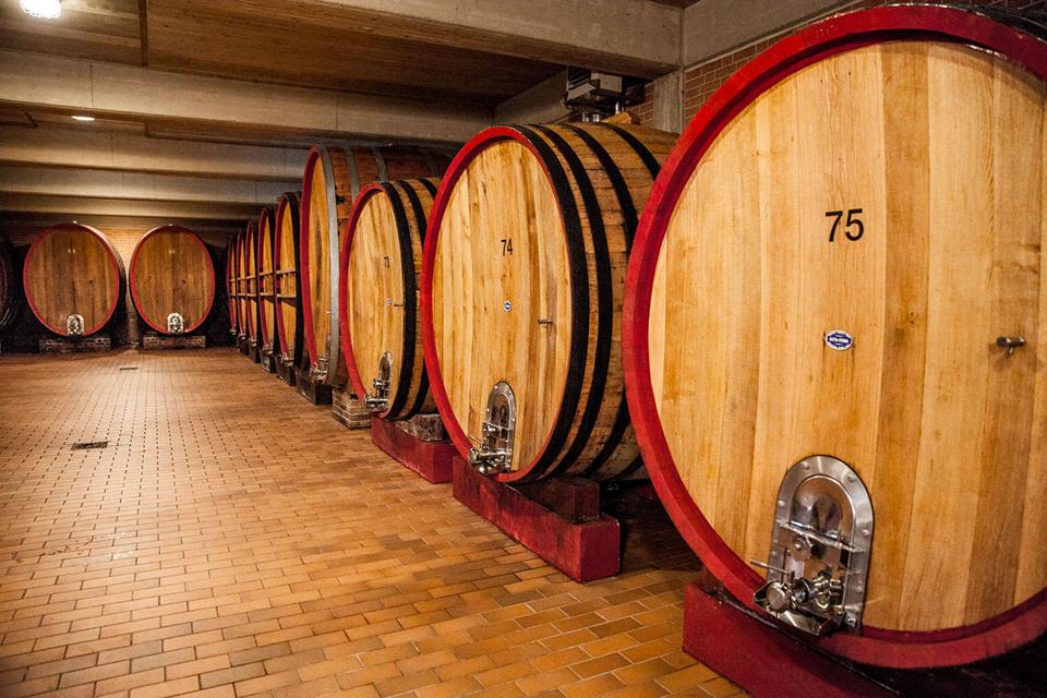 Cellars at Pertinace in Treiso, Barbaresco