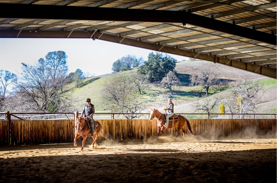 Goldman Sachs, Fred Steck, equestrian,