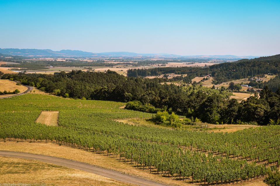 A view of Willamette Valley's McMinnville AVA from Youngberg Hills Winery
