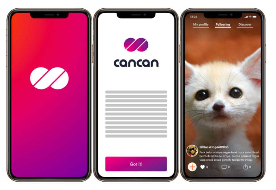 Dfinity, CanCan, Facebook, TikTok, image