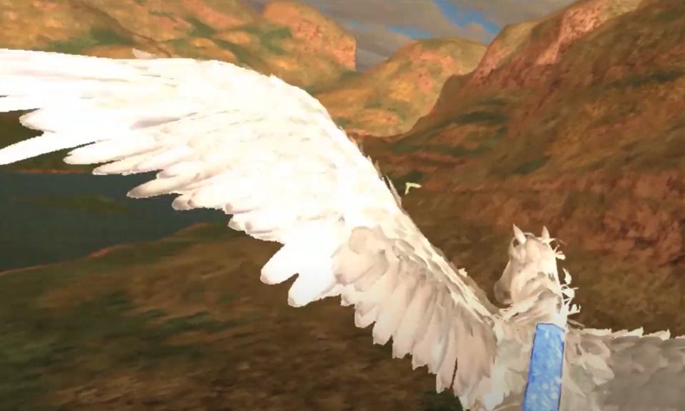 Flying the Pegasus in a VZfit game