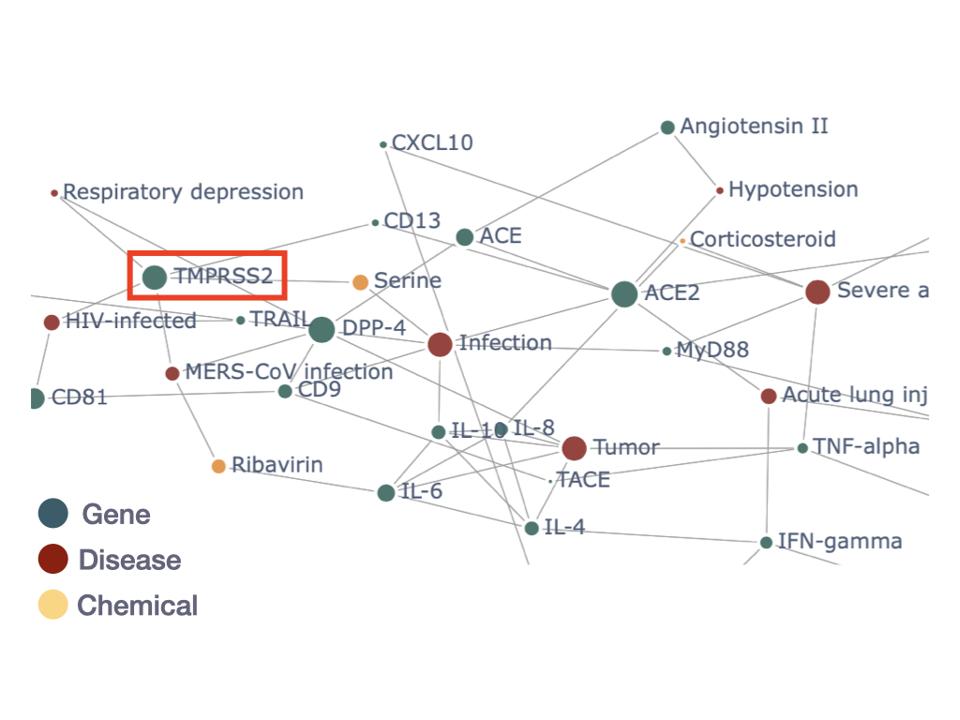 Graphical model of academic literature on diseases related to COVID-19 made using Natural Language Processing.