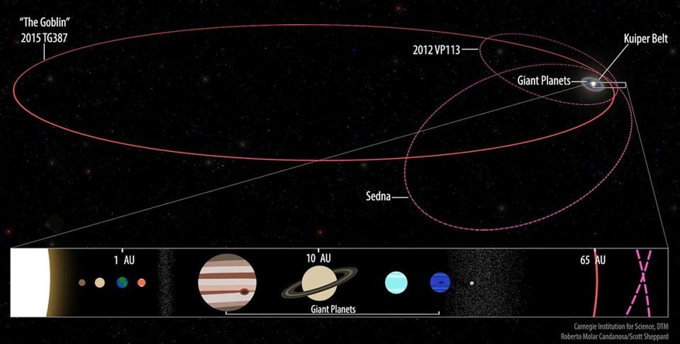 The orbits of Sedna, Biden and″The Goblin.″