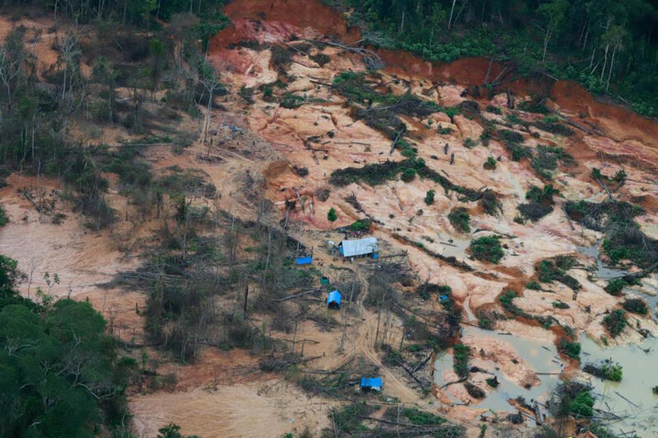minería ilegal de oro en la Amazonía