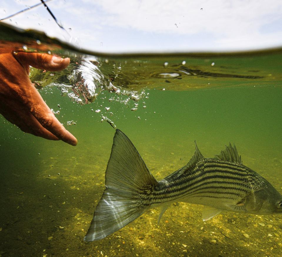 Premier FlyFishing Captain Paul Dixon Hauls The Billionaires To The