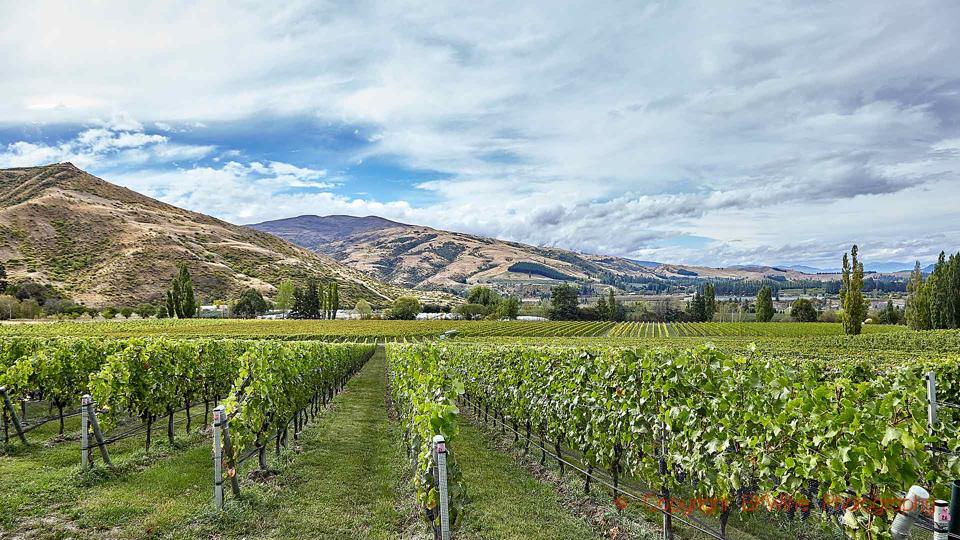 Pinot Noir From The World S Most Southerly Vineyards Felton Road In New Zealand