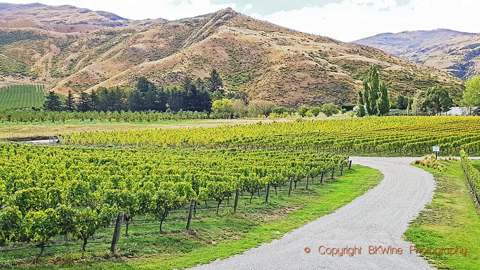 Pinot Noir From The World S Most Southerly Vineyards Felton Road In New Zealand