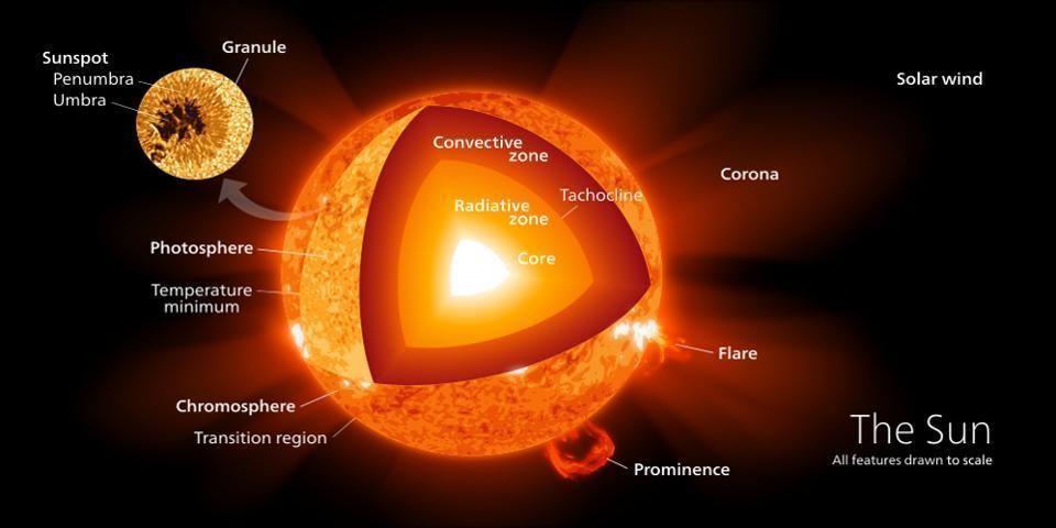 Nuclear fusion and where it occurs in the Sun: in the core, alone.