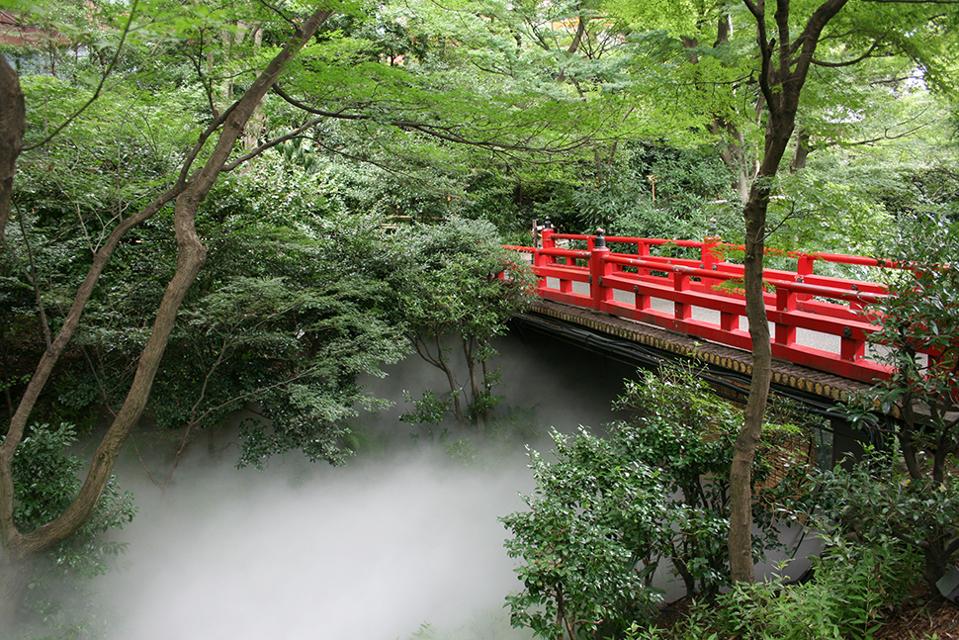 Jardín y puente