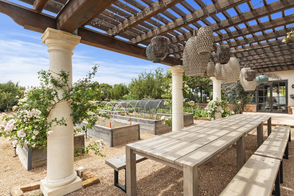 garden with table and string lights