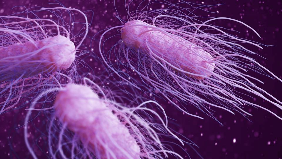 CDC: Salmonella Outbreak With 125 Sick In 15 States, What