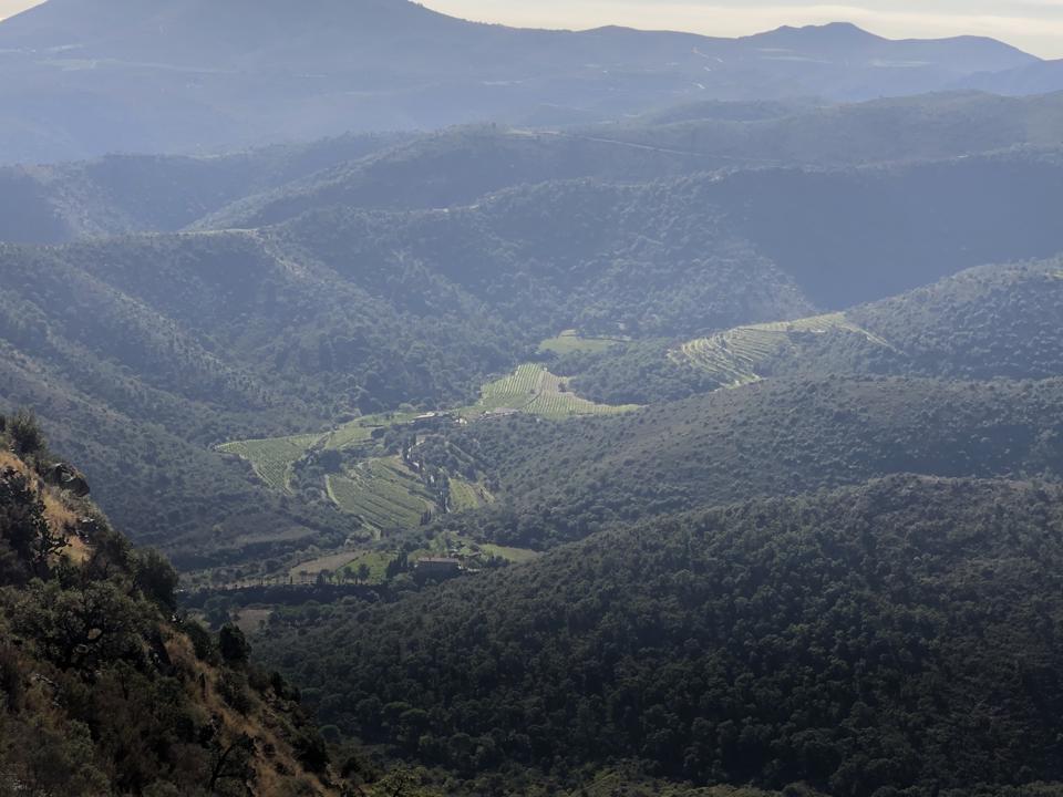 Vineyards of DO Emporda, an up and coming wine region in Catalunya, Spain.