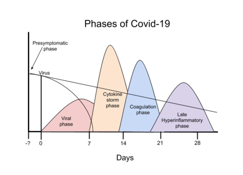 Phases of Covid-19