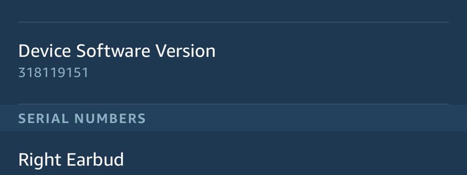 Amazon Echo Buds: the software version you want to see.