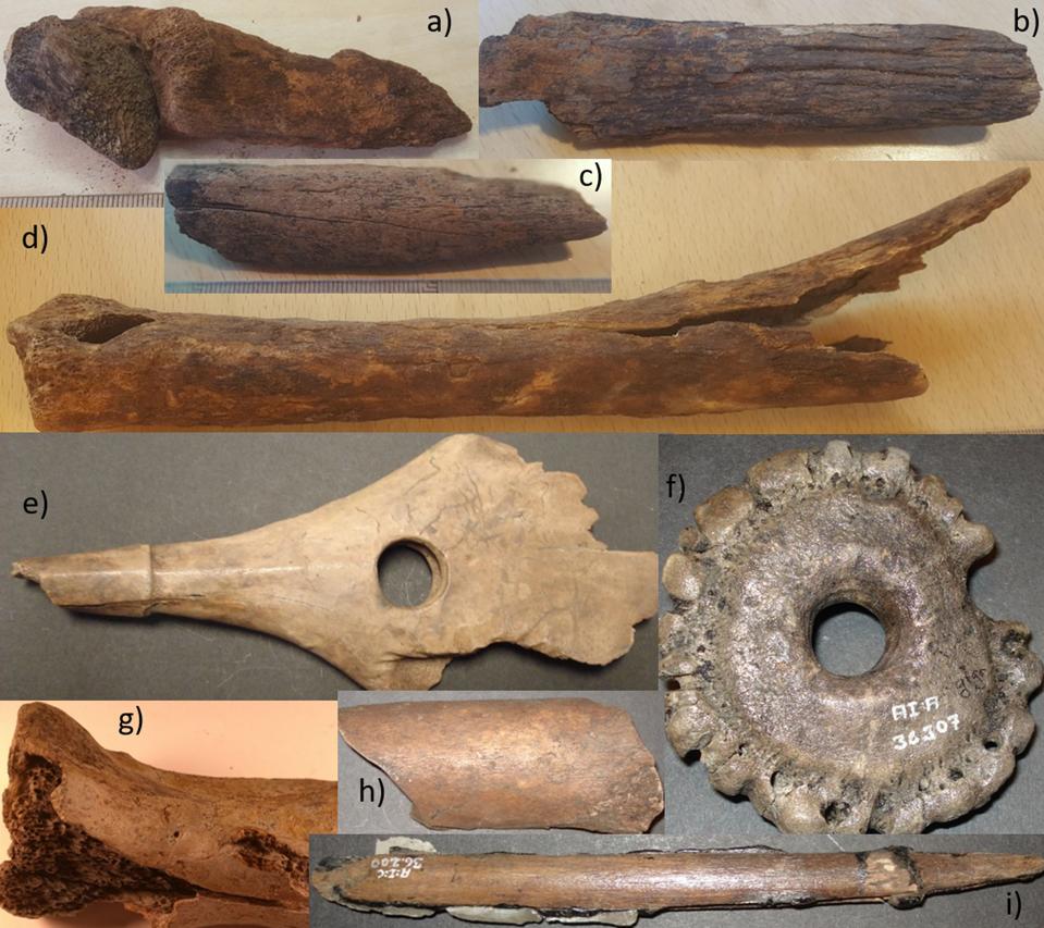 A selection of bone tools showing degradation.