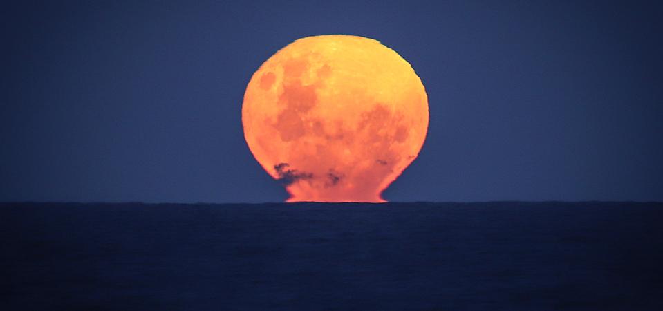 Sturgeon Moon How When And Where You Can Watch The Majestic Rise Of August S Low Hanging Full Moon Sturgeon Moon How When And Where You Can Watch The Majestic Rise Of August S Low Hanging Full Moon